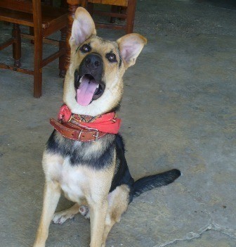 SOY TAYSSON TENGO 9 MESES
